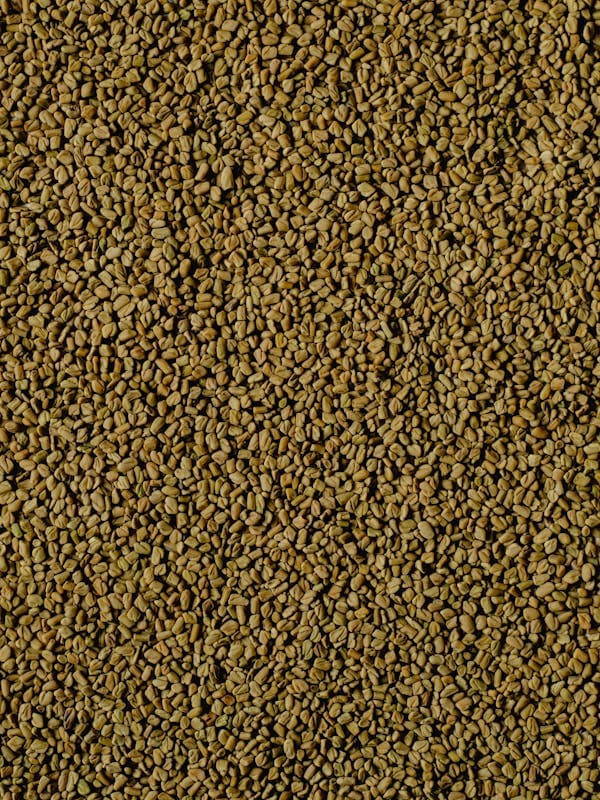 Fenugreek